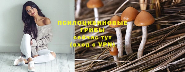 эйфоретик Лихославль