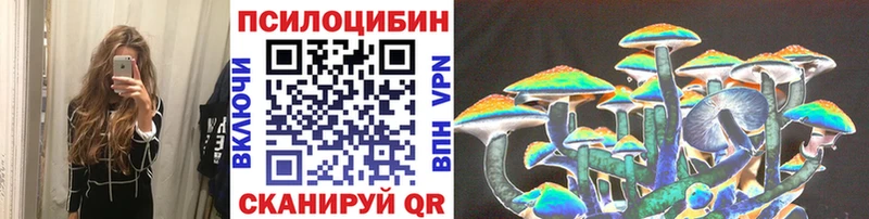 Купить Плавск Псилоцибиновые грибы мицелий